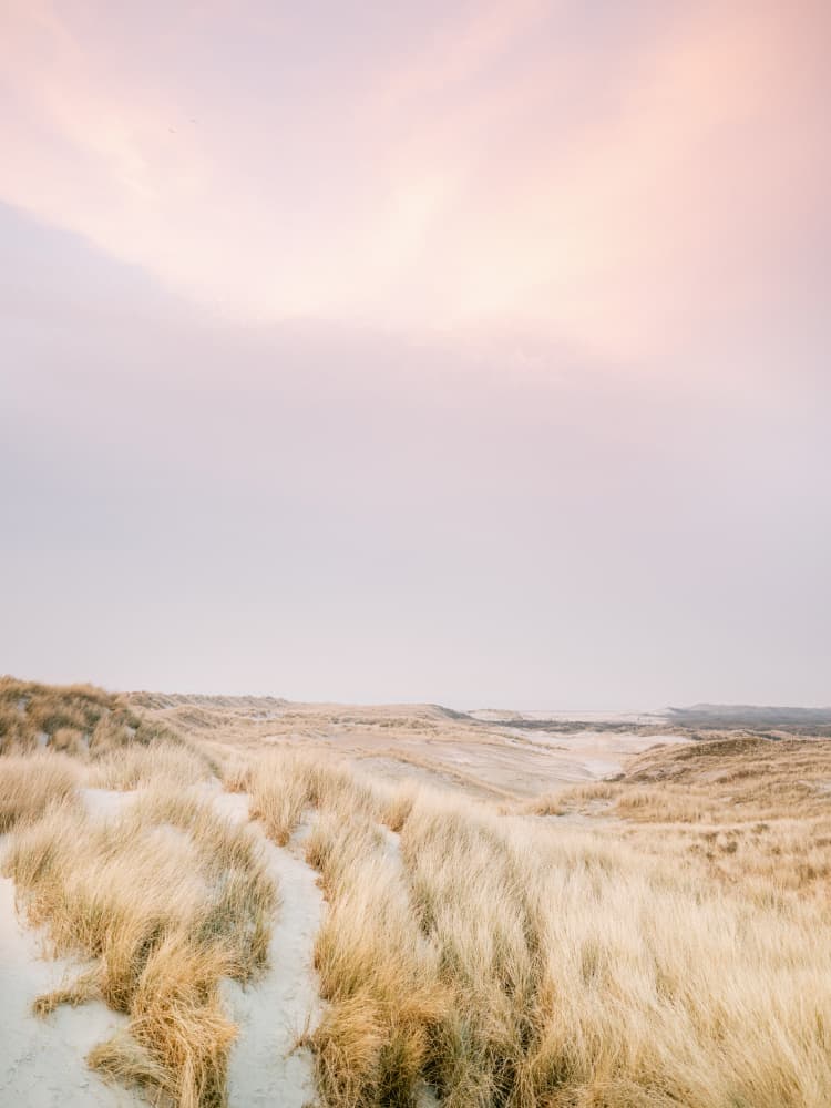 Ameland Dunes 1 by Raisa Zwart — canvas wall art