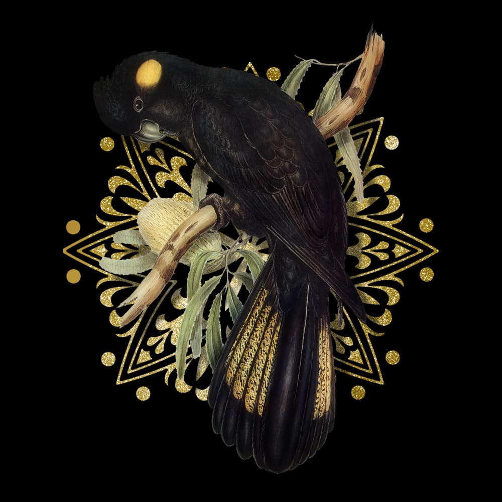 Golden Black Cockatoo by Marja van den Hurk — canvas wall art