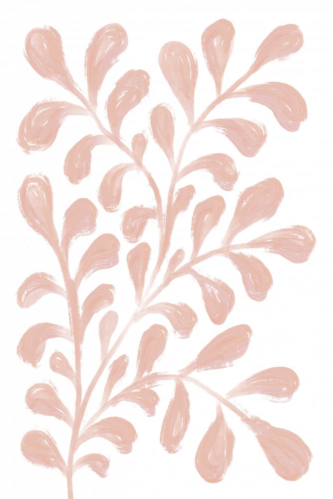 Soft Pink Botanicals by Martina — canvas wall art