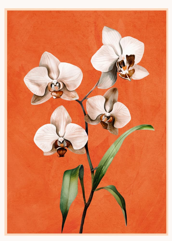 White Orchids Orange Background by City Art — canvas wall art
