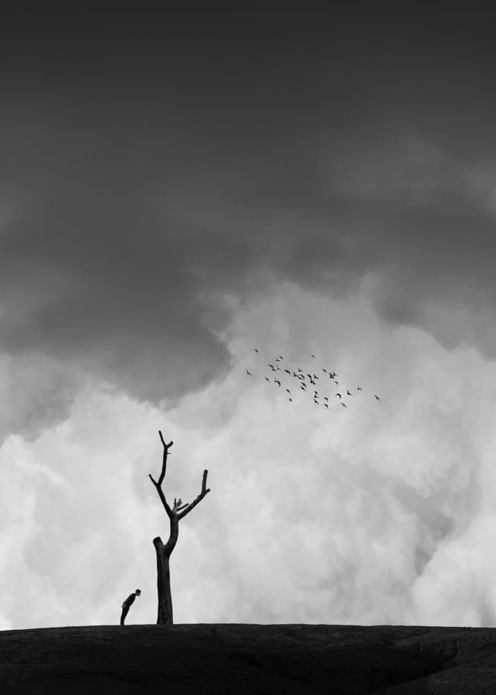 Lone Figure Bare Tree by alizolghadri93 — canvas wall art