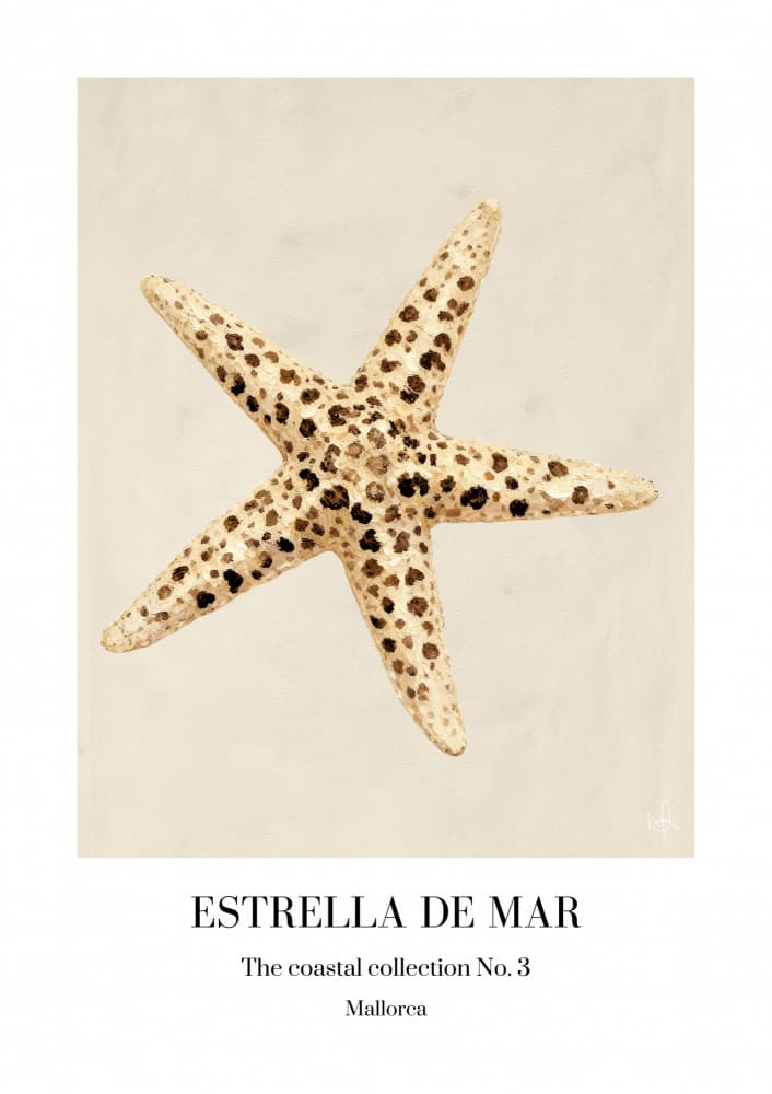 Spotted Starfish Illustration