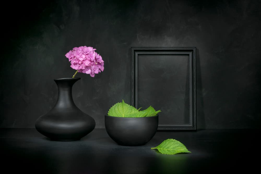 Modern Hydrangea Still Life by Christophe Verot — canvas wall art