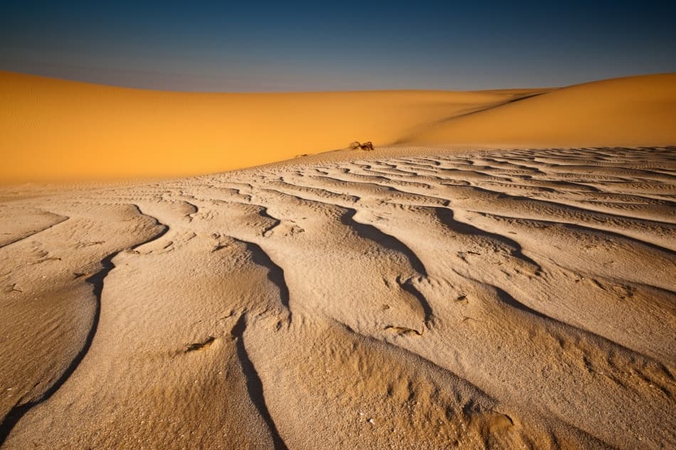 Golden Desert Dunes by Raymond Hoffmann — canvas wall art