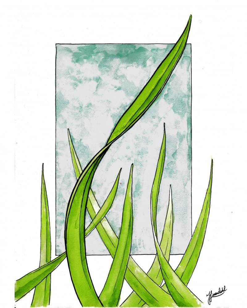 Fresh Green Growth by Johan Liewendahl — canvas wall art