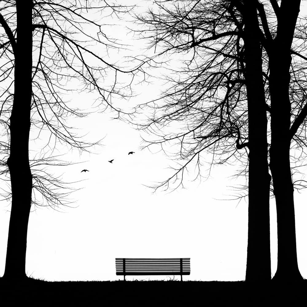 Minimalist Park Solitude by Massimo Della Latta — canvas wall art