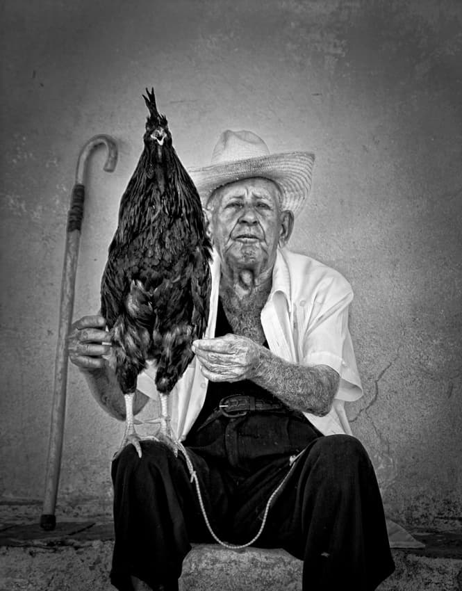 Farmer and His Rooster by Alain Mazalrey — canvas wall art