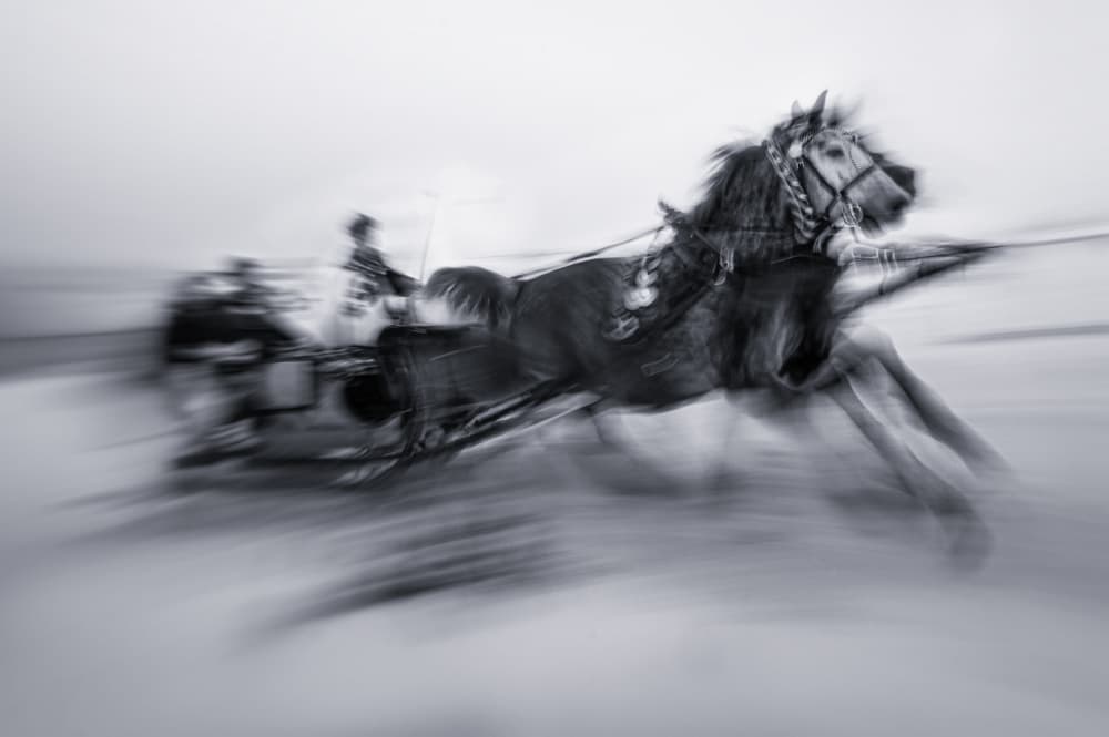 Galloping Race Horse by Dusan Ignac — canvas wall art