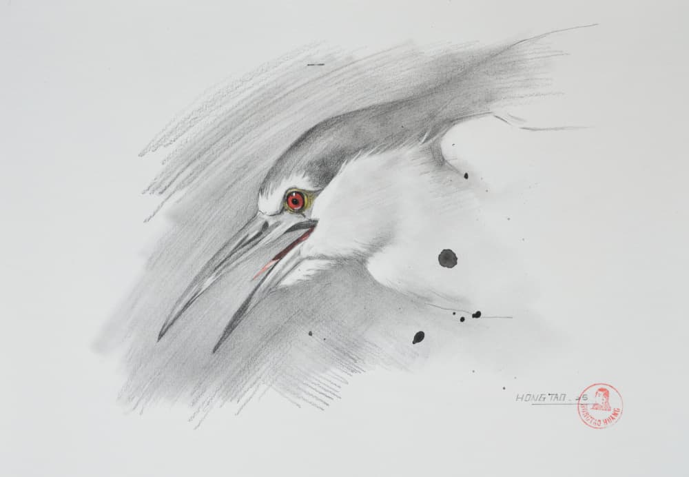 Red-Eyed Night Heron by Hongtao Huang — canvas wall art