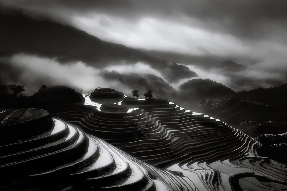 Misty Rice Terraces by Fabrizio Massetti — canvas wall art