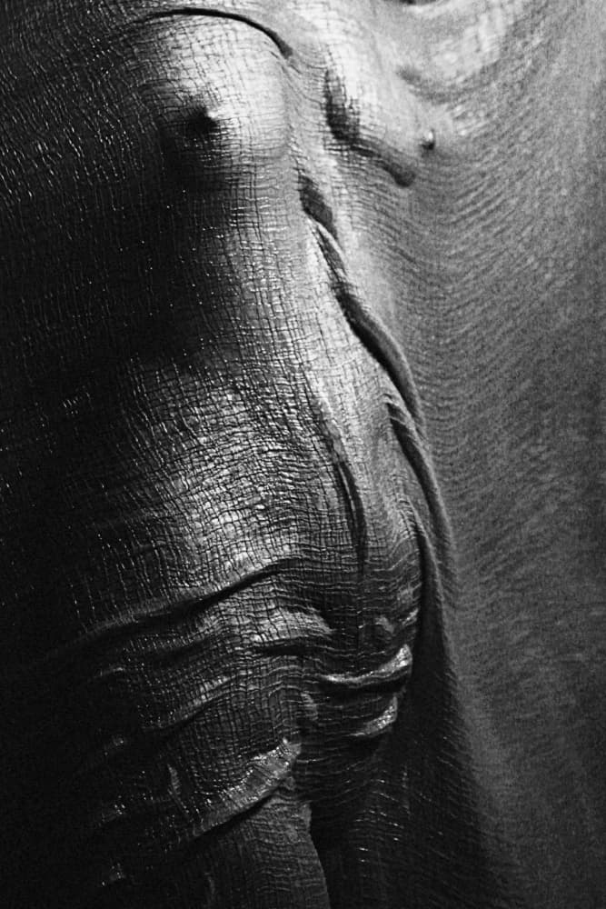 Deep Textured Skin by Bogdan Bouşcă — canvas wall art