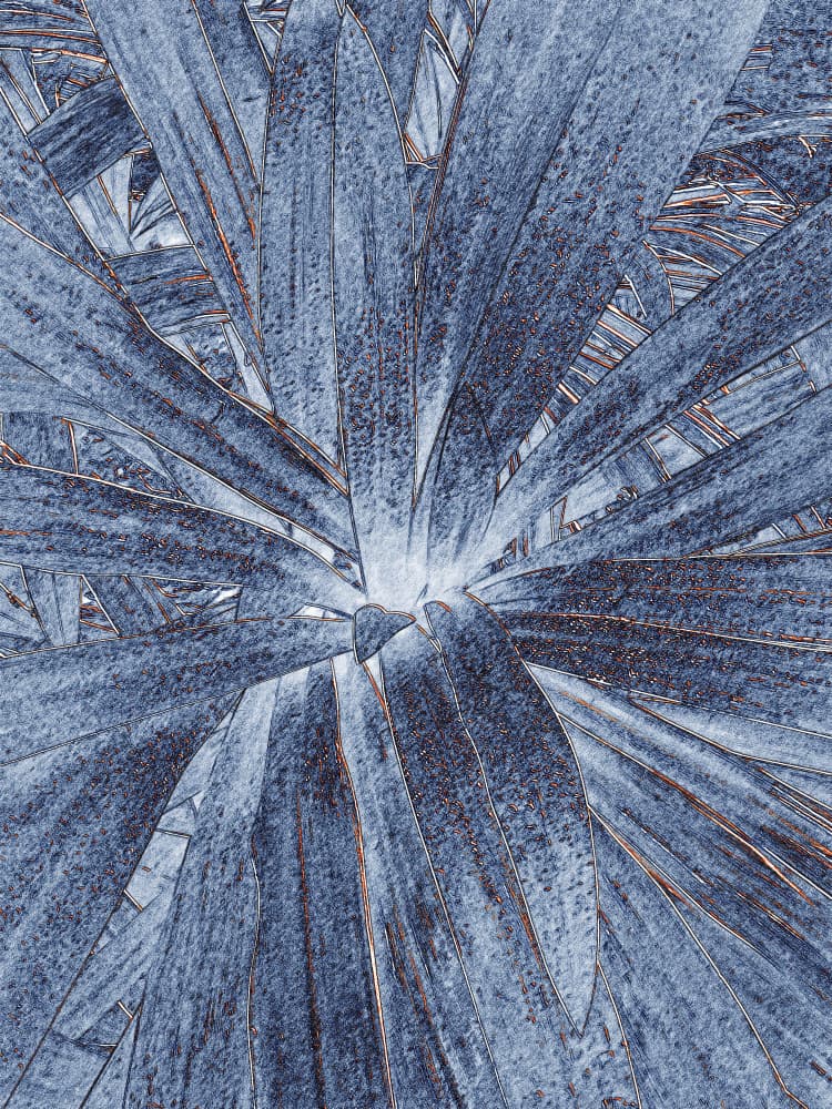 Blue Botanical Fan by Santhosh ch — canvas wall art