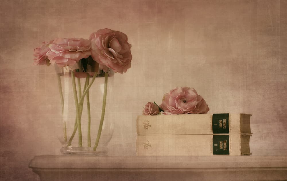 Soft Pink Ranunculus Still Life by Elena Arjona — canvas wall art