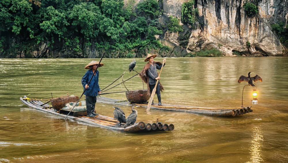 Li River Cormorant Fishing by Tali Stein — canvas wall art
