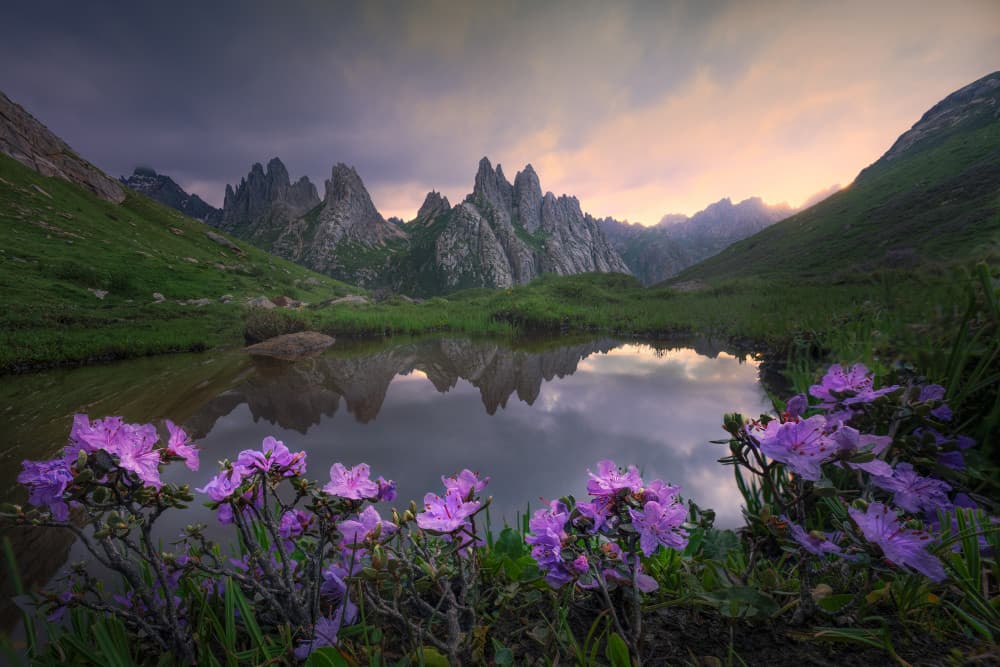 Purple Flowers Mountain Lake by Leah Xu — canvas wall art