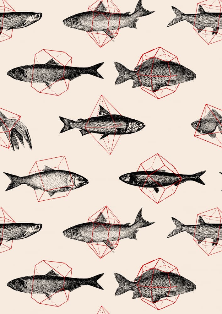 Geometric Fish Study by Florent Bodart — canvas wall art