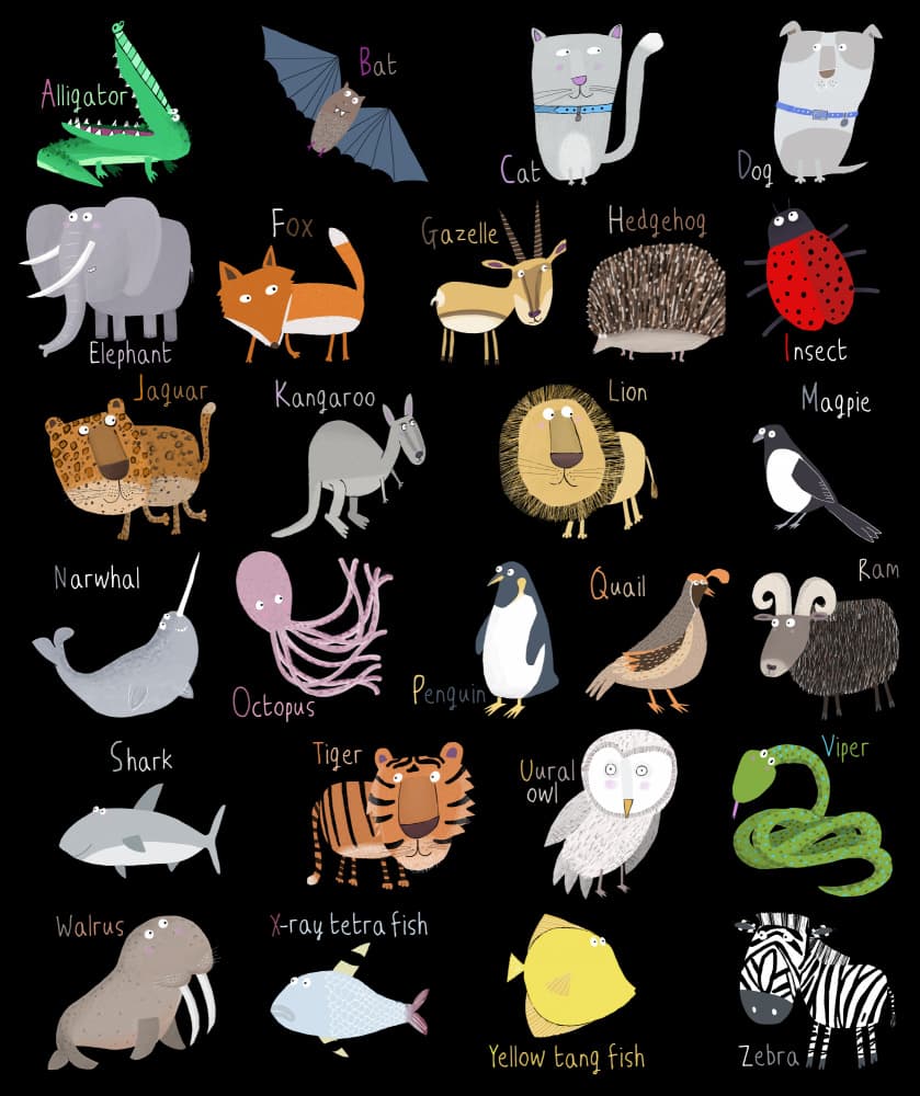 Cute Cartoon Animals by Carla Daly — canvas wall art