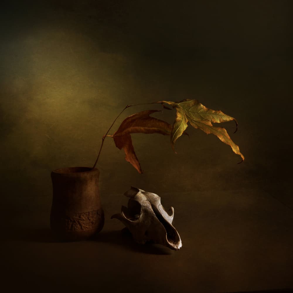 Dark Autumn Still Life by Margaret Halaby — canvas wall art
