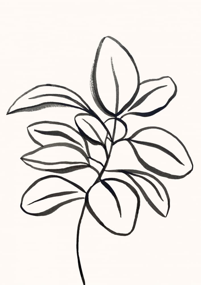 Elegant Botanical Drawing by Aislinn Simmonds — canvas wall art