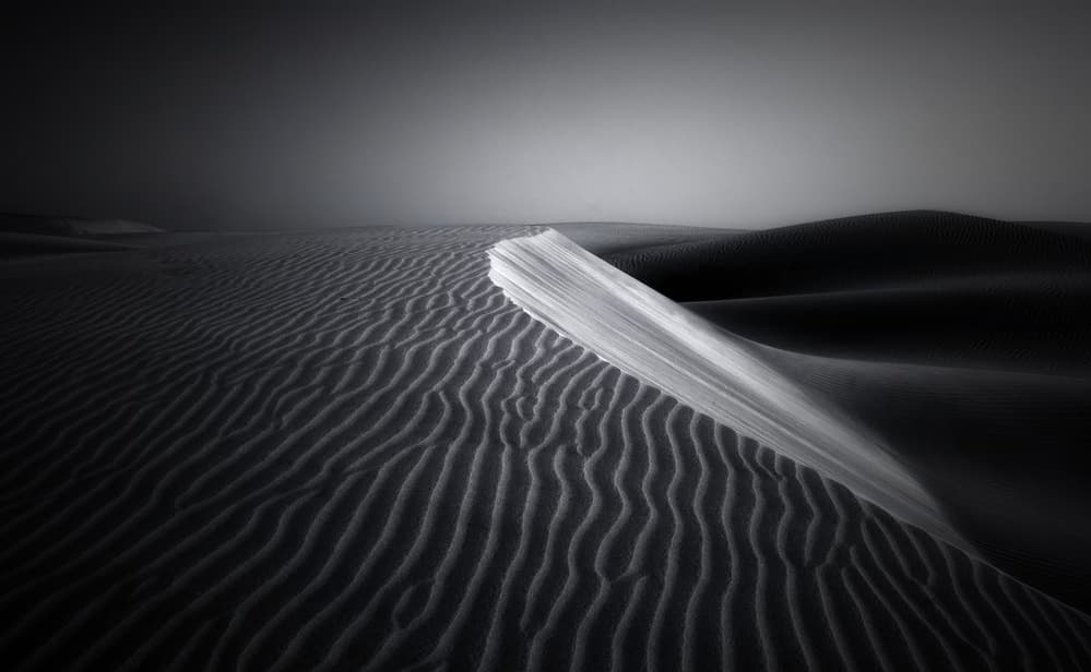 Monochrome Desert Pages by Ole Nielsen — canvas wall art