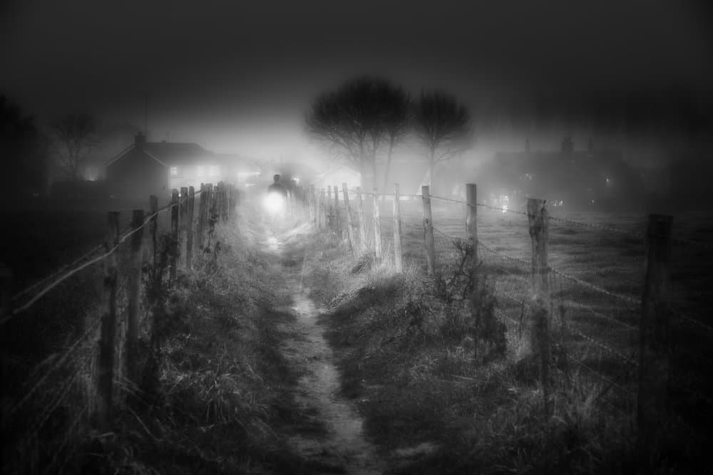Light Through The Fog by Peter Davidson — canvas wall art