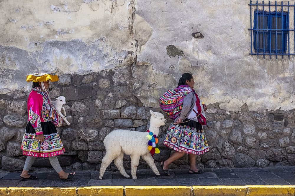 Andean Women and Alpacas by Avital Hershkovitz — canvas wall art