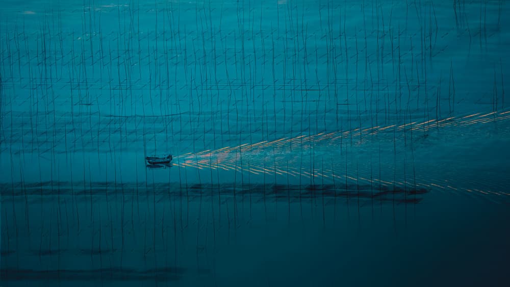 Blue Water Boat Trails by Wei Xu — canvas wall art