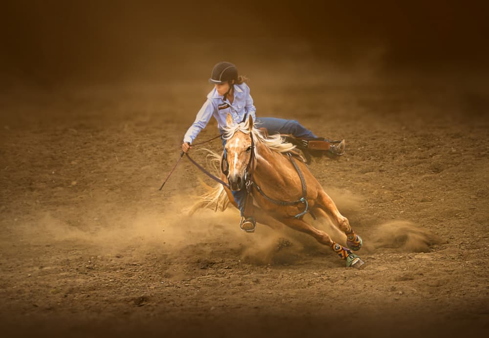 Barrel Racing Horse by Leeian Dai — canvas wall art