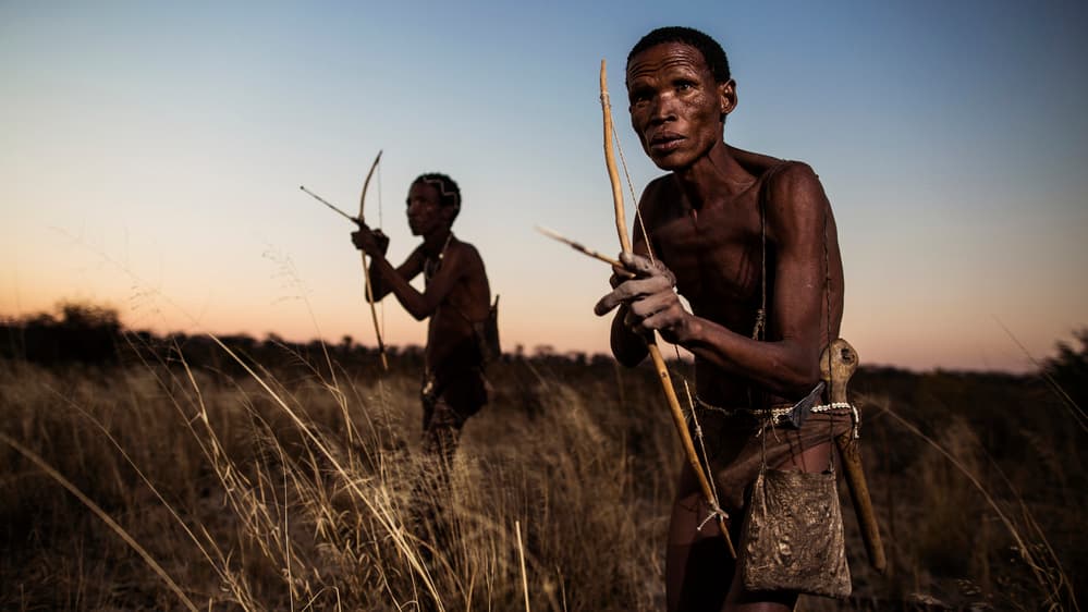 African Hunters Golden Hour by Goran Jovic — canvas wall art