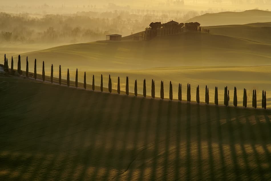 Tuscan Morning Glow by Jarek Pawlak — canvas wall art