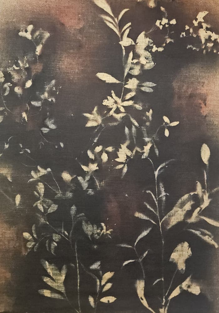 Dark Botanical Silhouettes by Stefano Mazzolini — canvas wall art