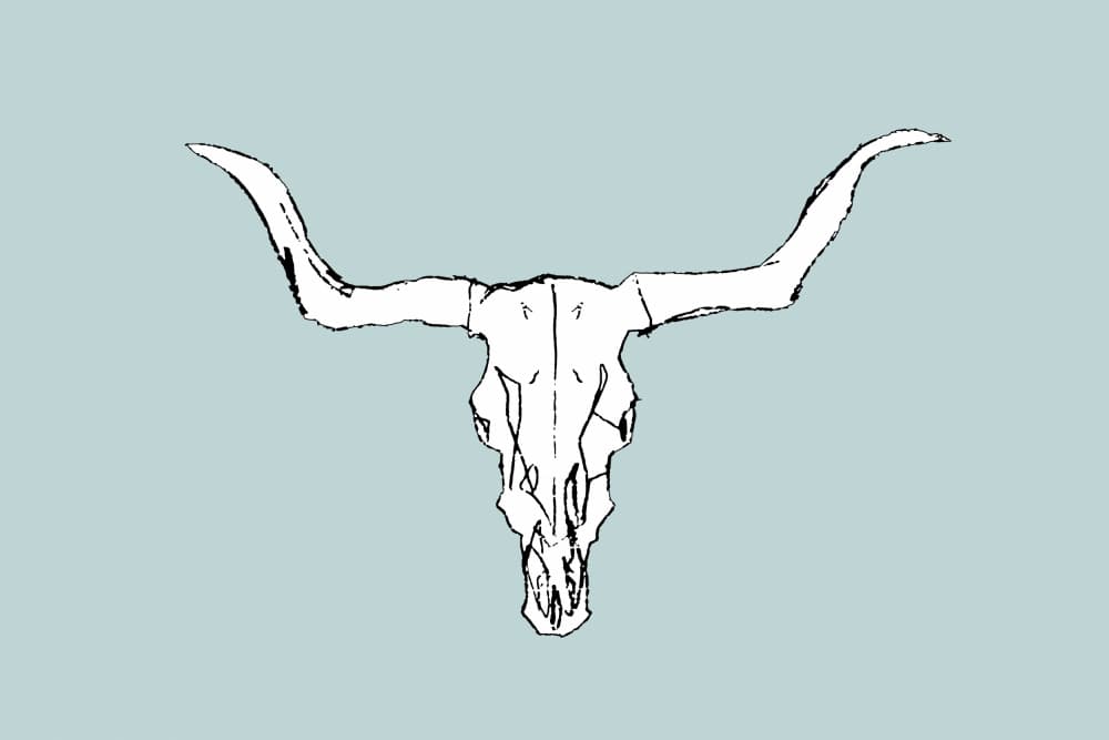Desert Bull Skull by cartissi — canvas wall art