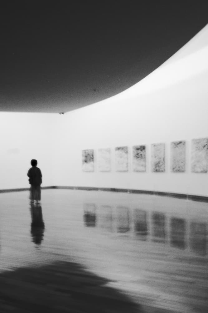 Gallery Viewer Reflection by Wanjae Choi — canvas wall art