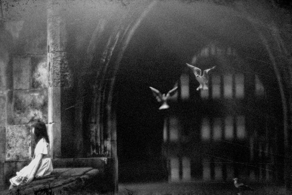 Gothic Girl Flying Birds by Teruhiko Tsuchida — canvas wall art