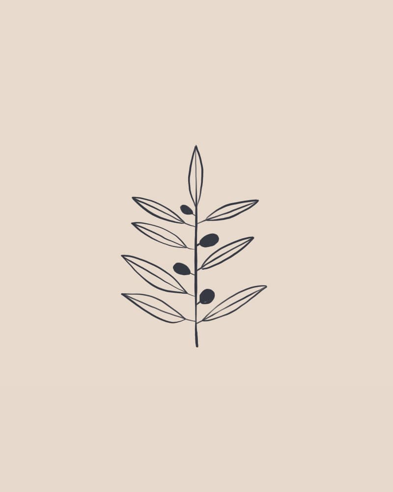 Minimal Olive Branch by Ivy Green Illustrations — canvas wall art