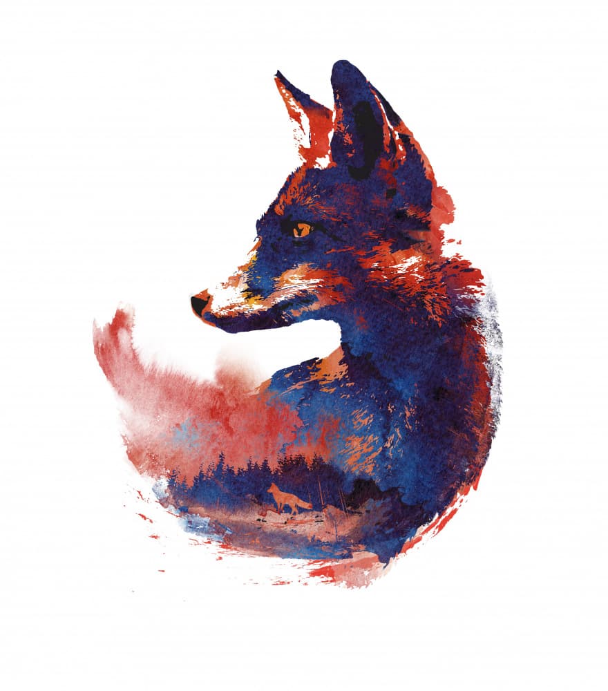 Vibrant Forest Fox by Robert Farkas — canvas wall art