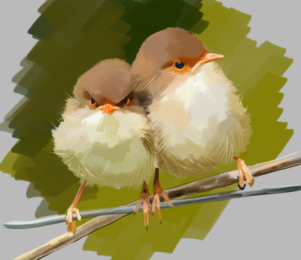 Fluffy Grumpy Birds by Emily Kalina — canvas wall art
