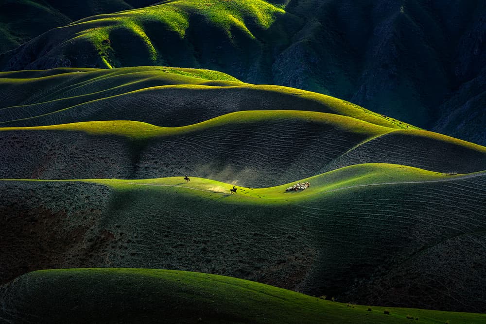 Rolling Hills Golden Light by Hua Zhu — canvas wall art