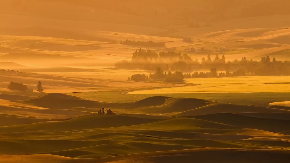 Sunrise Golden Hills by NanZ — canvas wall art