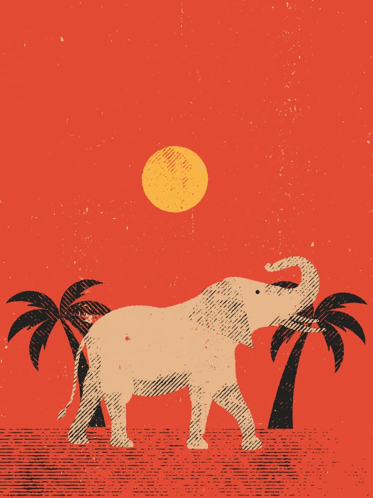 Desert Elephant Sunset by The Creating Mind — canvas wall art