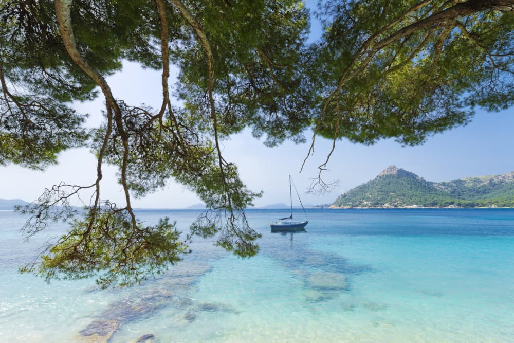 Dreaming of the Sea by Stefan Hefele — canvas wall art