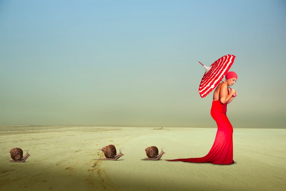 Elegant Red Journey by Christine von Diepenbroek — canvas wall art