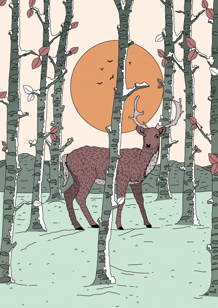 Deer in Snowy Forest by Nicholas — canvas wall art