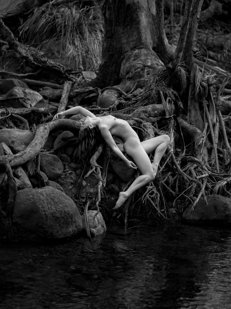 Ethereal Forest Nude Roots by Craig Stampfli — canvas wall art