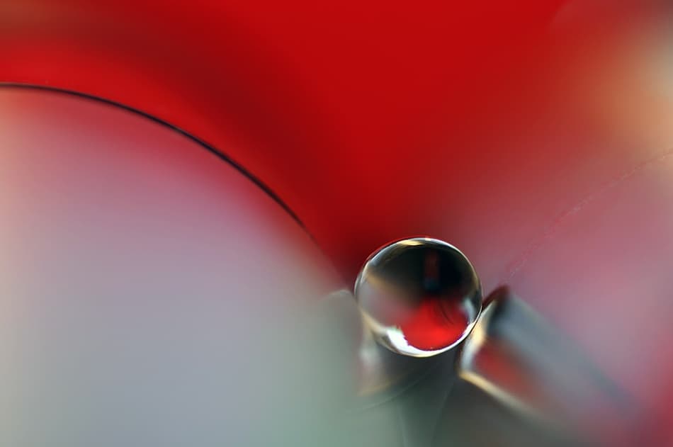 Vibrant Red Drop by Heidi Westum — canvas wall art
