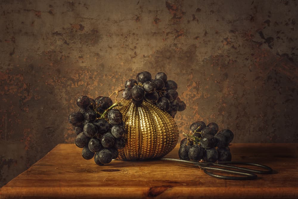 Elegant Grapes Golden Still Life by Monique van Velzen — canvas wall art