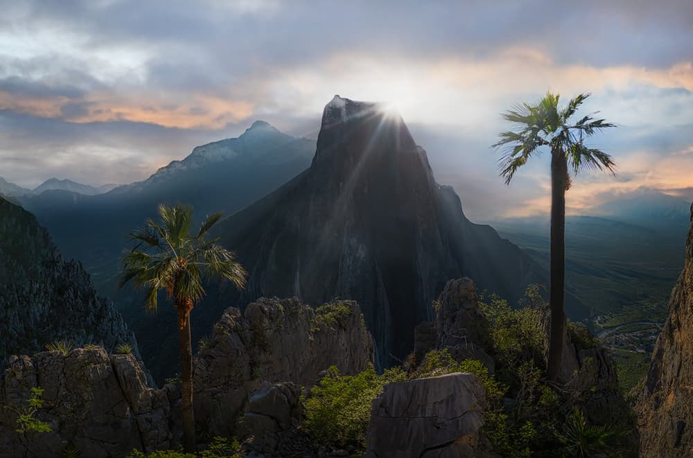 Palm Tree Mountain Sunrise by Yun Thwaits — canvas wall art