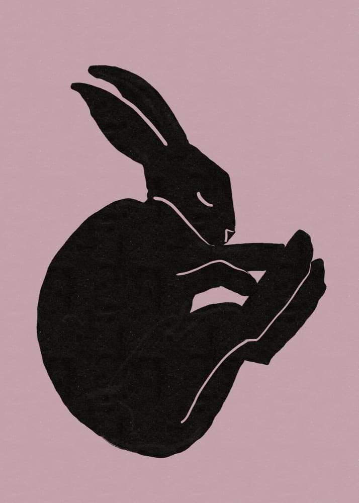 Serene Pink Bunny by Sharyn Bursic — canvas wall art