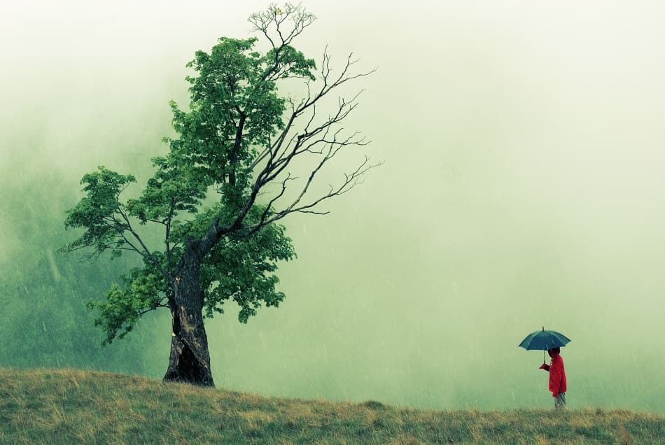 Child Under Rainy Tree by Sorin Vidis — canvas wall art