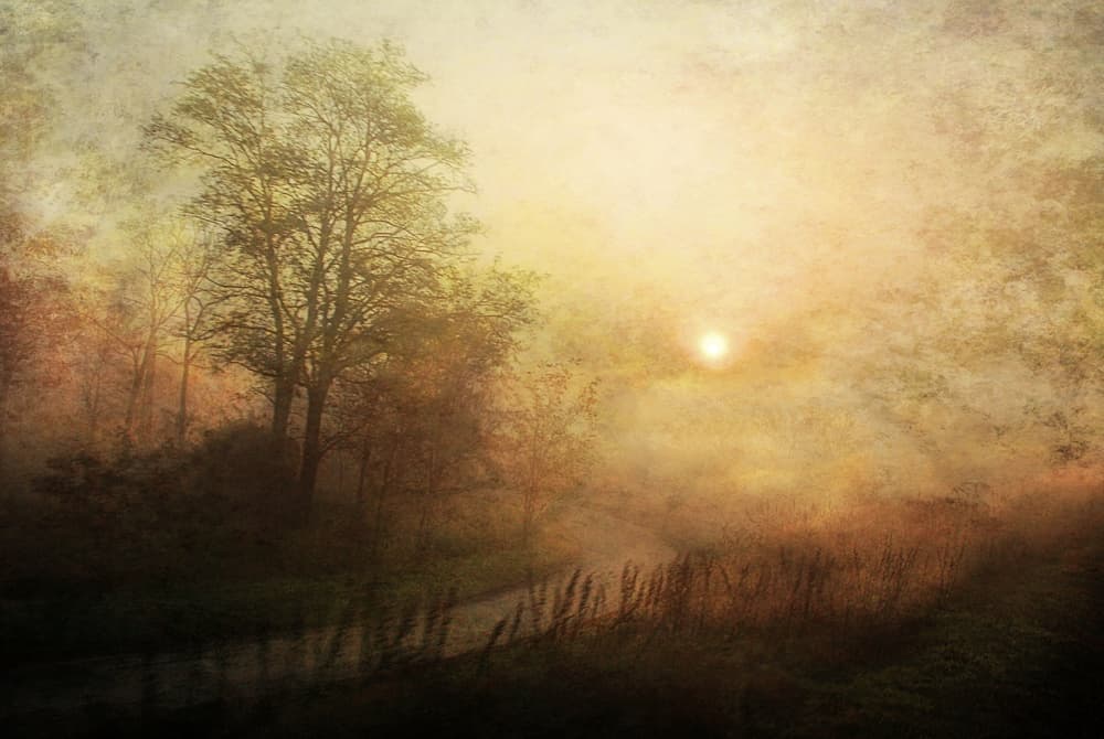 Golden Misty Morning by Nicoleta Gabor — canvas wall art